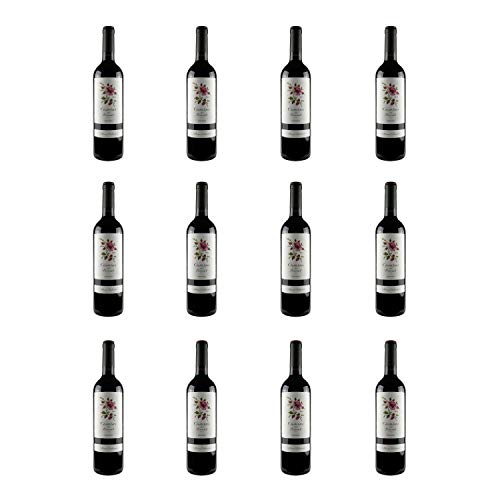 Preisvergleich Produktbild Camins Del Priorat - Rotwein - 12 Flaschen