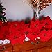 YXYQR 8 Pack Bulk Christmas Artificial Poinsettia Flowers Stem Bouquets Outdoors with 40pcs 8.2 Inch Red Poinsettia Flowers Heads for Christmas Tree, Xmas Garland, Vase, Window Box, Porch Decorations