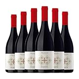 Pagos del Moncayo Prados Fusión Garnacha-Syrah Campo de Borja Joven 75 cl Vino tinto (Caja de 6 Botellas de 75 cl)