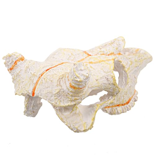 CIYODO 水槽 装飾 隠れ家 トカゲ 隠れ家 洞窟 爬虫類 囲い 装飾 動物 頭蓋骨 飾り エビ 隠れ家 場所 家 装飾 魚 水槽 飾り 魚 水槽 装飾 樹脂