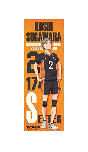 Support long rétractable Sugawara Takashi en alliage durable pour collectionneur Haikyu