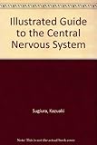 Illustrated Guide to the Central Nervous System