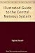 Illustrated Guide to the Central Nervous System