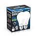 Great Eagle Lighting Corporation Super Bright LED Light Bulb 150W-200W Equivalent Dimmable 2700K Warm White UL Listed (2 Pack)