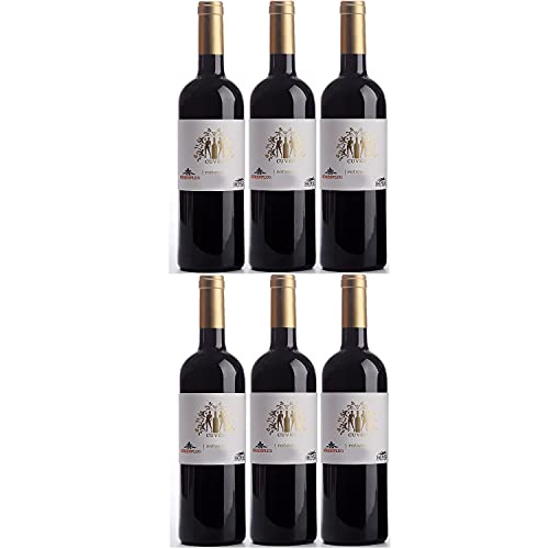 Thomas Hensel Höhenflug Rotwein Cuvée Wein trocken Pfalz Deutschland I Visando Paket (6 Flaschen) Cover
