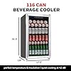 Honeywell Beverage Refrigerator and Cooler, 116 Can Mini Fridge with Glass Door for Soda Beer or Wine for Office or Bar with Adjustable Removable Shelving, Commercial Grade