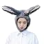 Long Ears Gray
