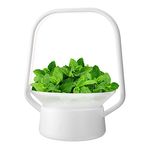 Vegebox Hydroponic Growing System, Indoor Hydroponic Garden Kit, Smart Indoor Home Kitchen Garden with LED Grow Lights-Support Indoor Veggies & Herbs Grow(White)