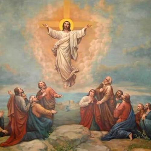 #83 | O c&eacute;u &eacute; a nossa casa | Solenidade da Ascen&ccedil;&atilde;o do Senhor copertina