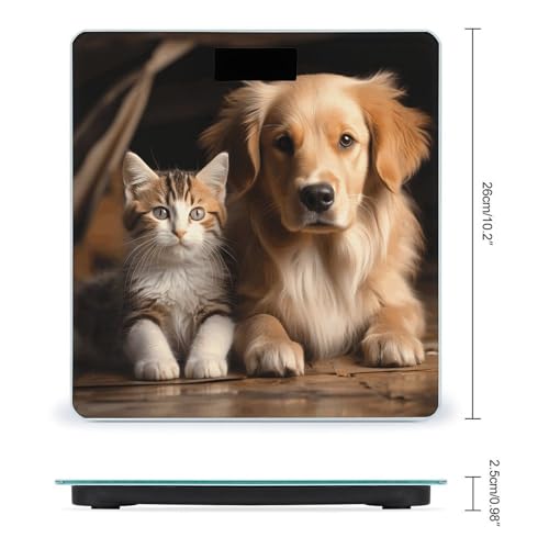 Báscula digital para perros y gatos 26x26 cm vidrio templado miniatura 2
