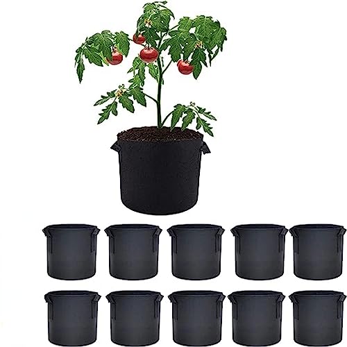 Jinmoioy sDzv^[ ͔| z 10Zbg tFg A A琬  ʋC diy | t ԍ͔| ؍͔| |ʕ͔| 搧 ƒ؉ɍœK ubN (5K 30cma25cm)