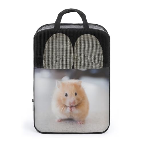 V[YobO V[Y|[` 킢 nX^[ gxV[YobO C΂ ʋC C ւ sp o ^ѕ֗ StV[YP[X V[Y[ WobO 1[ jp Xj[J[ gѕ֗  C bV