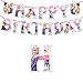 15pcs Frozen Princess Birthday Party Banner, Frozen Princess Ceiling Streamers Birthday Decorations (15pcs)