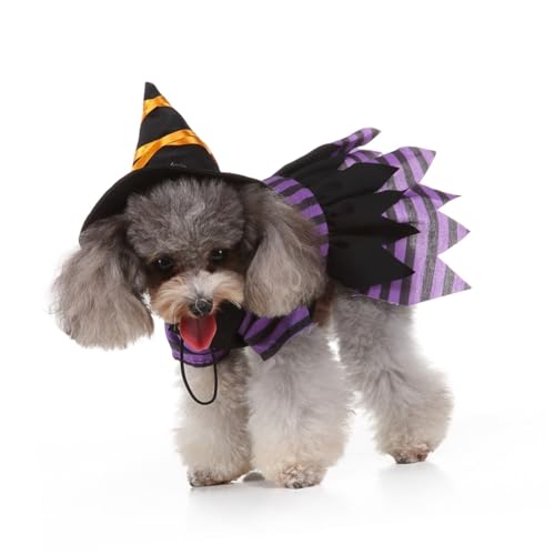 Disfraz Halloween para perro tamaño S miniatura 4