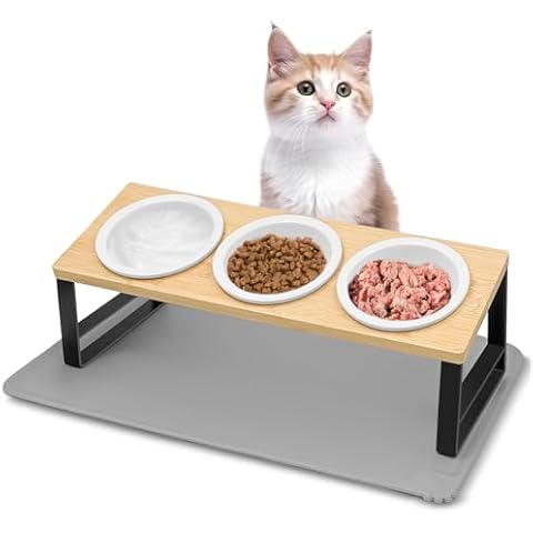 Gamelle Chat Surélevée Avmvnvc Cover