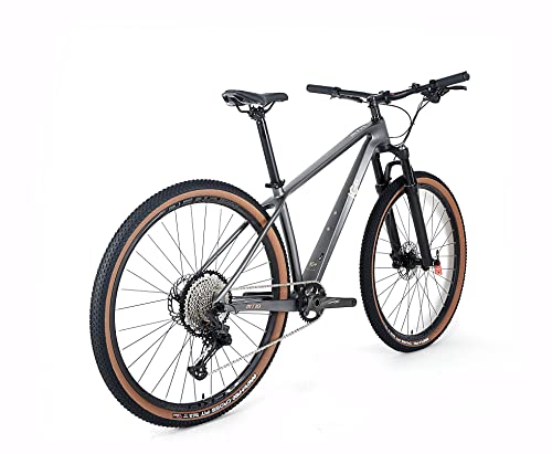 ICe Bicicleta de montaña MT10 Cuadro de Fibra de Carbono, Rueda 29', monoplato, 12V (Gris, 17')