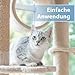 Felisept Ohrpflege Finger-Pads für Katzen 50 Stück - Pflege & Hygiene für Katzenohren, Fingerlinge zur praktischen & intutiven Reinigung, Ohrreiniger für Katzen, Ohrmilben Katze - Kitten Pflege