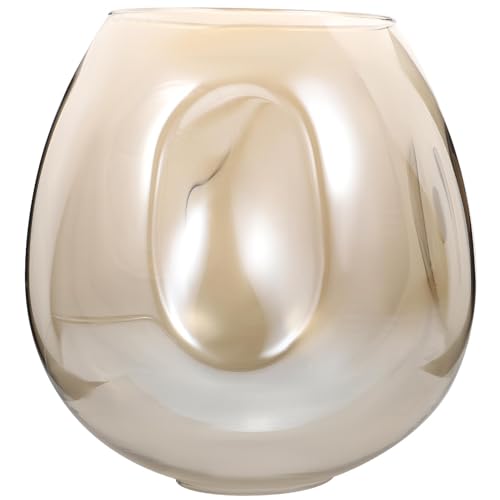 Gadpiparty Paralume Globo Di Vetro Paralumi Trasparenti Squisito Paralume In Vetro Europeo Di Ricambio Decorazioni Norvegesi Paralume In Vetro Decorazioni Per La Casa