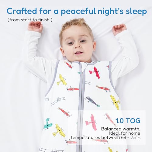 Image of TotAha Toddler Sleep Sack, 1.0 TOG, 2T-3T-4T, Plane