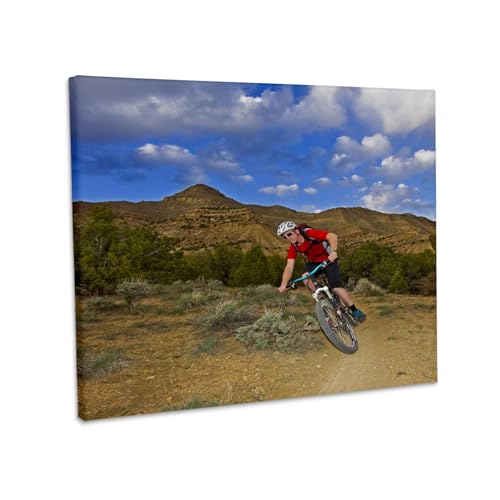 3dRose Mountain Biking Bookcliff Trails Canvas Wrap 10x8