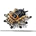 Little Critterz Tarantula Silk - Birthday Gift Home DÃ©cor Miniature Porcelain Figurine