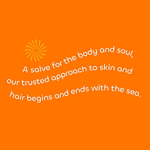 Seaweed Bath Co. Detox Body Wash, Orange Cedar Scent, 12 Ounce, Sustainably Harvested Seaweed, Spirulina, French Sea Clay #TOP5