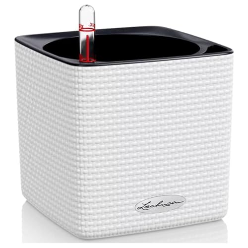 Lechuza 13380 - Cubeta de plantado, 14 x 14 x 14 cm, color blanco