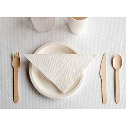 packer PRO Pack 100 Cuchillos Deshechables de Madera Sostenible, 16cm