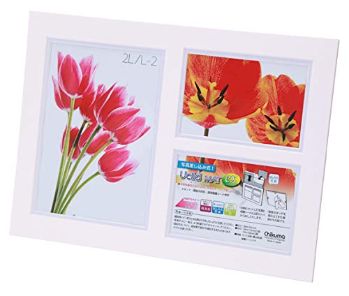 Chikuma フォトフレーム Uclidマットツートン 多面 2L1面/L判2面 ホワイト+ブルー 15535-5