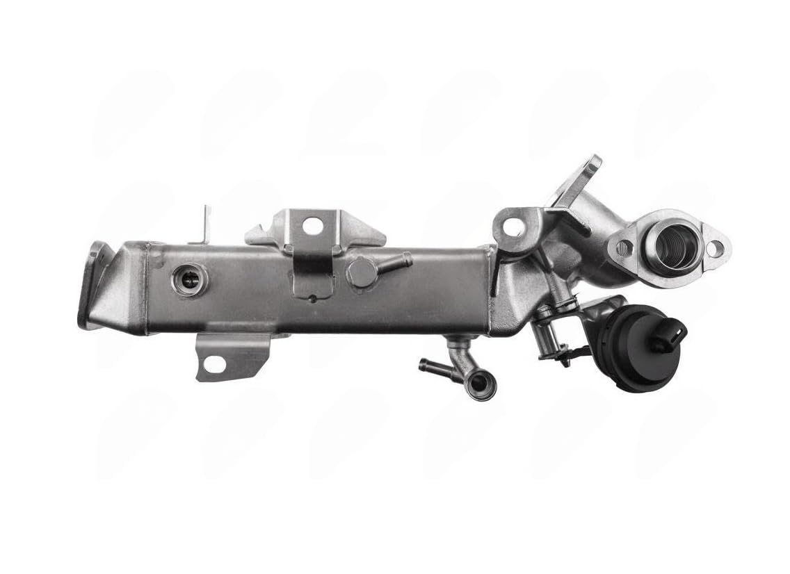 Enfriador EGR Serie 1, 2, 3, 4, 5, 6, 7, X1, X3, X4, X5, X6 Enfriador de gases de escape 11717823210 7823210 963072 135994 48366 Enfriador AGR 520d 525d 530d 535d