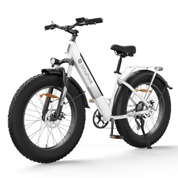 fat tire cruiser electric bike