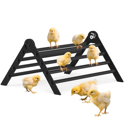 Giyiprpi Perchoir réglable en métal robuste pour couveuse et poulailler, jouet d'entraînement pour oiseaux, perroquets, poules, aras (8 racines)