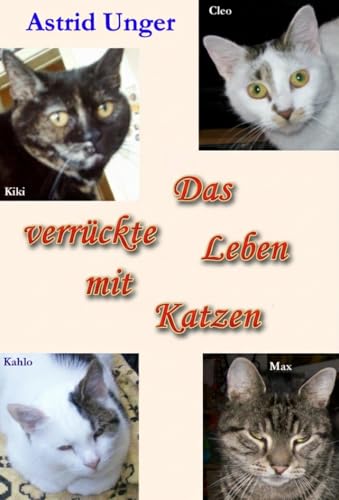 Das verrückte Leben mit Katzen