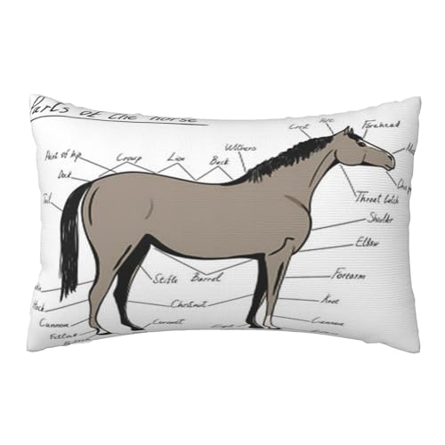 ʃvbVJo[A_炩ȁA20x30C`Axbh\t@ɍœKin̓̕ʁAn̉UwAnXL[̃eLXgAj