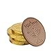 The Dreidel Company Coins in Hanukkah Gift Bag, Gelt, 15 Coins (Gold Nut-free Belgian Coins, Single-Bag)