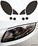 Lamin-x Custom Fit Gunsmoke Headlight Covers for Mercedes R-Class (06-10)