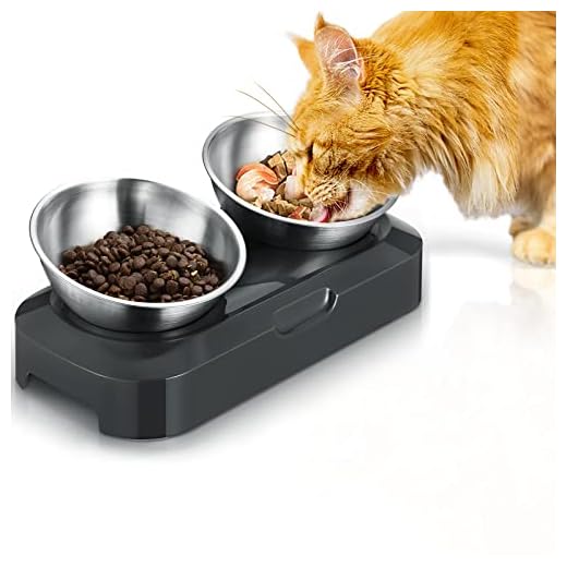 Rudelkönig Napfunterlage für Hunde und Katzen - 48 x 30cm - rutschfeste Futtermatte aus Silikon - wasserdichte Unterlage mit Rand 5 PewinGo Futternapf Hund Katze Rostfreier Stahl, rutschfeste Silikonbasis mit 0° und 15° Vorschubwinkel Kipphals-Schutzschale für Haustiere, Katzen und Welpen