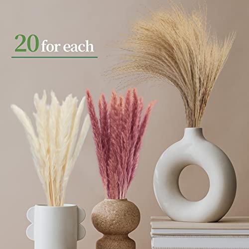 Natural Dried Pampas Grass Bouquet, 60 Pcs Dried Reed Flowers, Boho Home Decor Bouquet for Home Table Decorations, Wedding Floral Arrangements Rustic Farmhouse