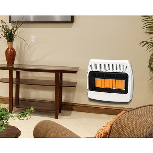 Dyna-Glo IR30PMDG-1 30,000 Btu Liquid Propane Infrared Vent Free Wall Heater White thumb #6
