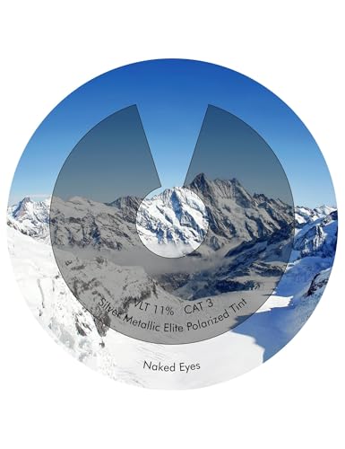 Image of Performance Replacement Lenses Compatible with Oakley Eyepatch 1&2 Polarized Etched