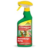 Neudorff Spruzit AF Schädlingsfrei 500 ml – Anwendungsfertiges Spray gegen Blattläuse, Buchsbaumzünsler, Thripse, Spinnmilben & Weiße Fliegen für Zierpflanzen, Gemüse, Obst & Kräuter