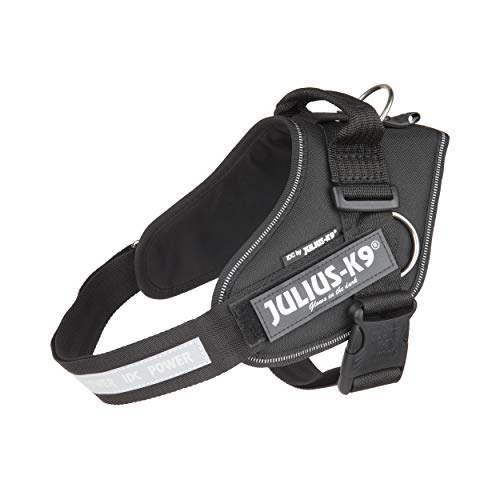 Julius-K9, Idc Powerharness With Side Rings For Dogs #TOP1