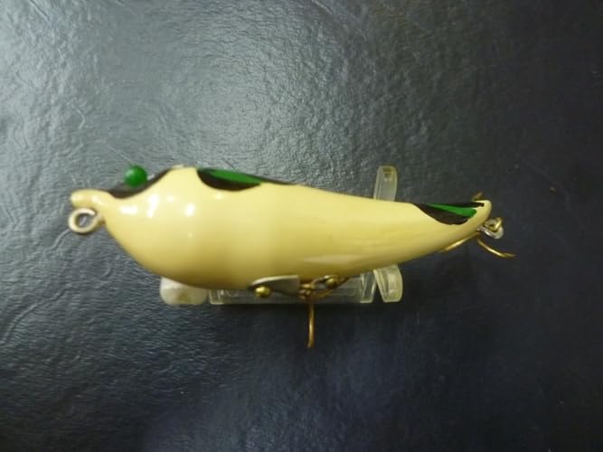 ハトリーズ　ザラヤッコ ハトリーズ ザラヤッコ | ランブルフィッシュのブログ ☆ 今日のランブル話