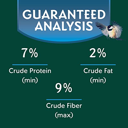 Morning-Song-Dove-Ground-Feeding-Wild-Bird-Seed