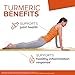 Qunol Turmeric Curcumin Supplement, 1000mg with Ultra High Absorption, for Joint Support, Extra Strength Capsules, 150 Count