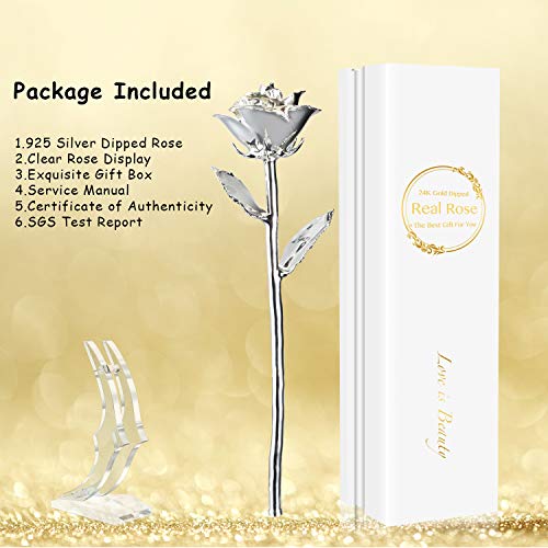 Image of Silver Rose, Silver Dipped Rose Made from Real Rose Best Gifts and 25th for Wife, Silver with Stand