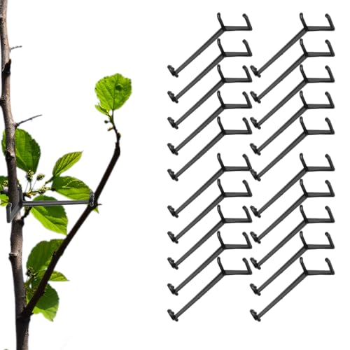 ؂̎}xx | 20 \ X^rCU[,ʎp̒\Ȏ}L - K[fjO AA x X C T|[g x X