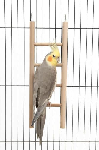 Image of KSK Wooden Ladder Bird Toy - Natural Climbing & Chew Toy for Parrots, Cockatiels, Conures, African Greys, Hamsters & Small Pets