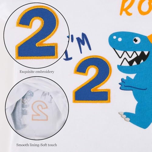 Dinosaur Birthday T Shirt 2nd Birthday Party Dino B-Day Boys Tee Gift3