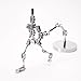 BAIYITONGDA Stop Motion Factory,Full Metal Stop Motion Animation Character Skeleton Stainless Steel Skeleton,Armature Rigging System for Stop Motion Animation,14cm